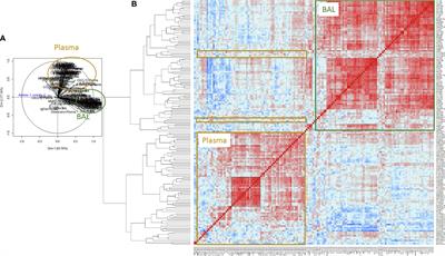 A Comprehensive Analysis of Immune Constituents in Blood and Bronchoalveolar Lavage Allows Identification of an Immune Signature of Severe Asthma in Children